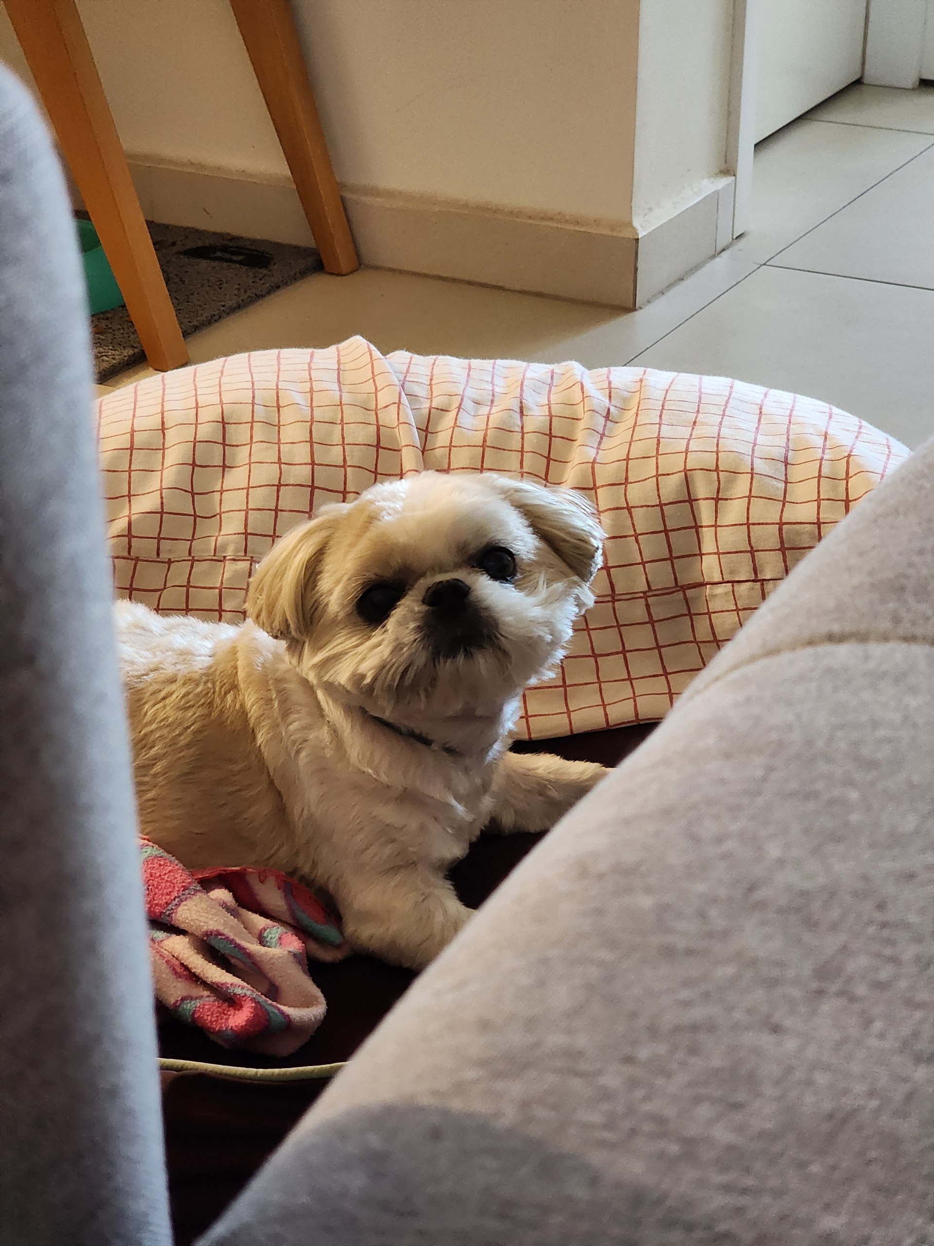 Jolie